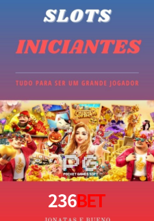 Interface Premium 236Bet